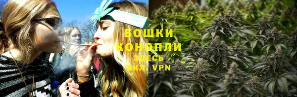 бошки Каменногорск