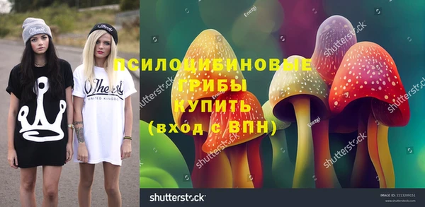 бошки Каменногорск