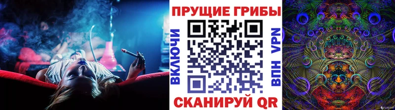 Купить  Давлеканово  Псилоцибиновые грибы Psilocybine cubensis 